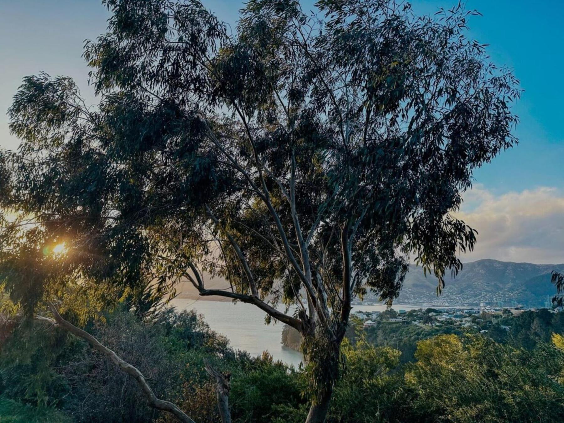 Villa The Outlook By Tiny Away Diamond Harbour Esterno foto